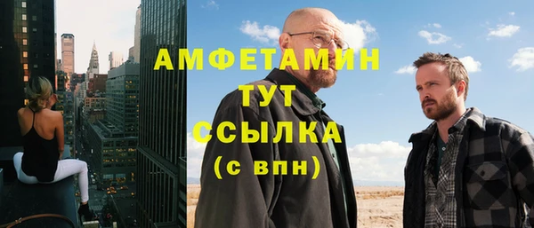 стафф Гусев