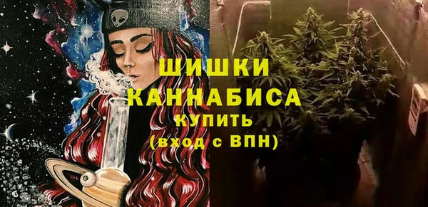 стафф Гусев