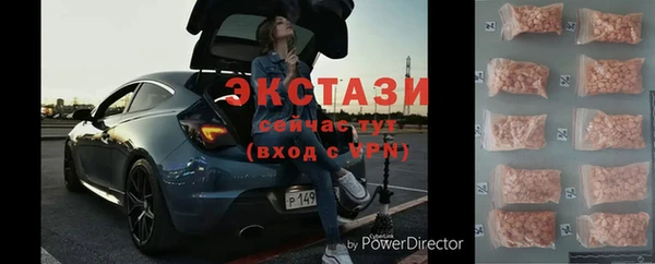 стафф Гусев