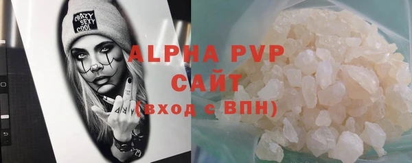 стафф Гусев