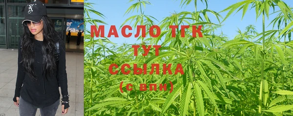 стафф Гусев