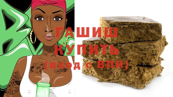 стафф Гусев
