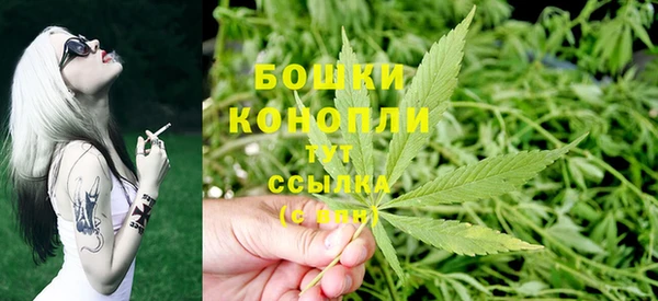 стафф Гусев