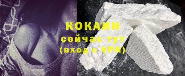 стафф Гусев