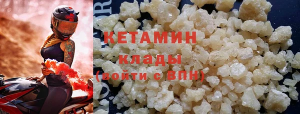 стафф Гусев