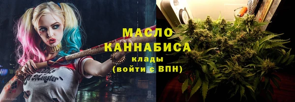 стафф Гусев