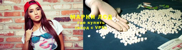 стафф Гусев