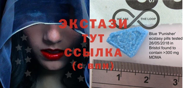 стафф Гусев